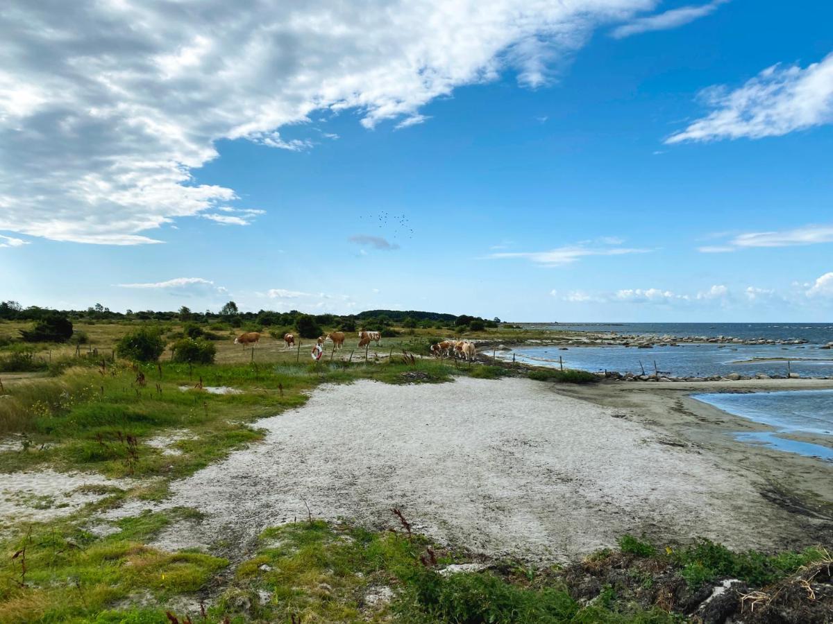 Hälleviks Camping Sölvesborg Exteriör bild